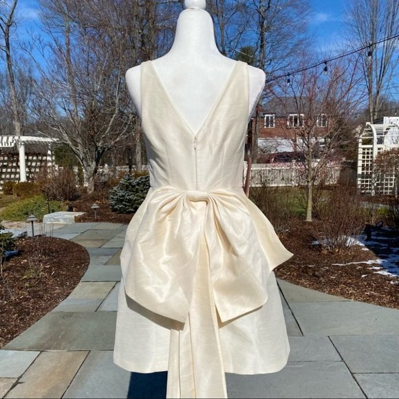 NWT Sachin and Babi Archie Mini Dress in Ivory 4 - Picture 7 of 17